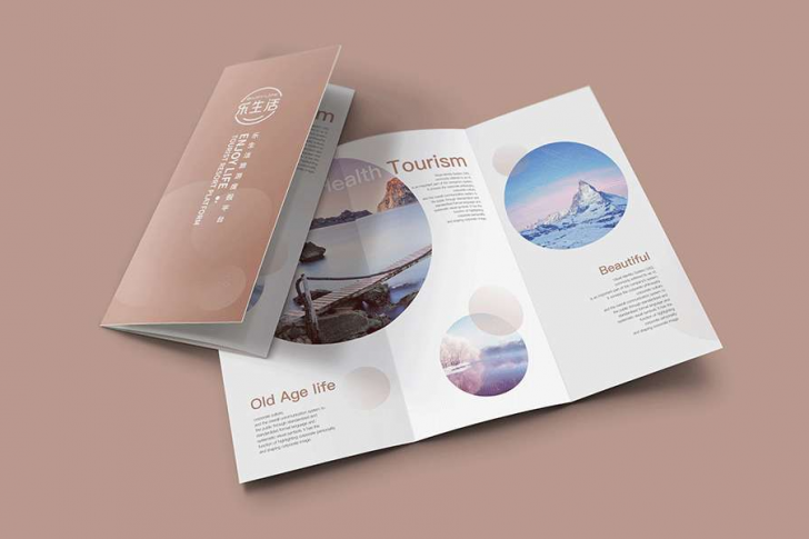 VI设计，梵顿设计